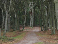 Darer Urwald - immer eine Radtour wert!